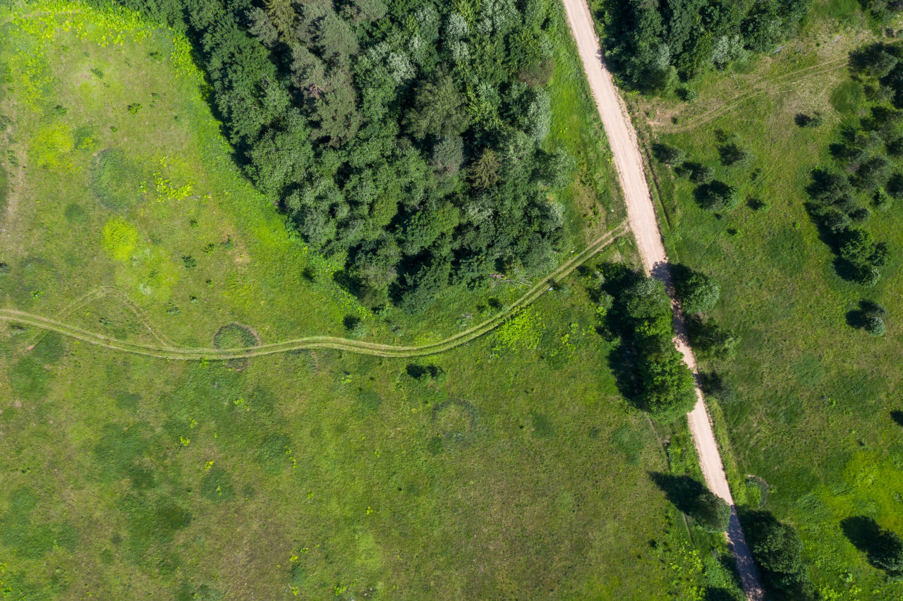 Территория площадью 150 га в Алматинской области вернется государству